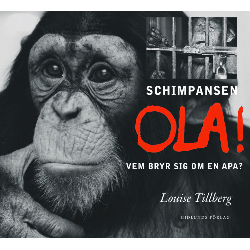Louise Tillberg Schimpansen Ola : vem bryr sig om en apa? (inbunden)