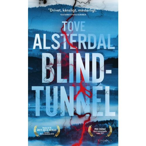 Tove Alsterdal Blindtunnel (pocket)
