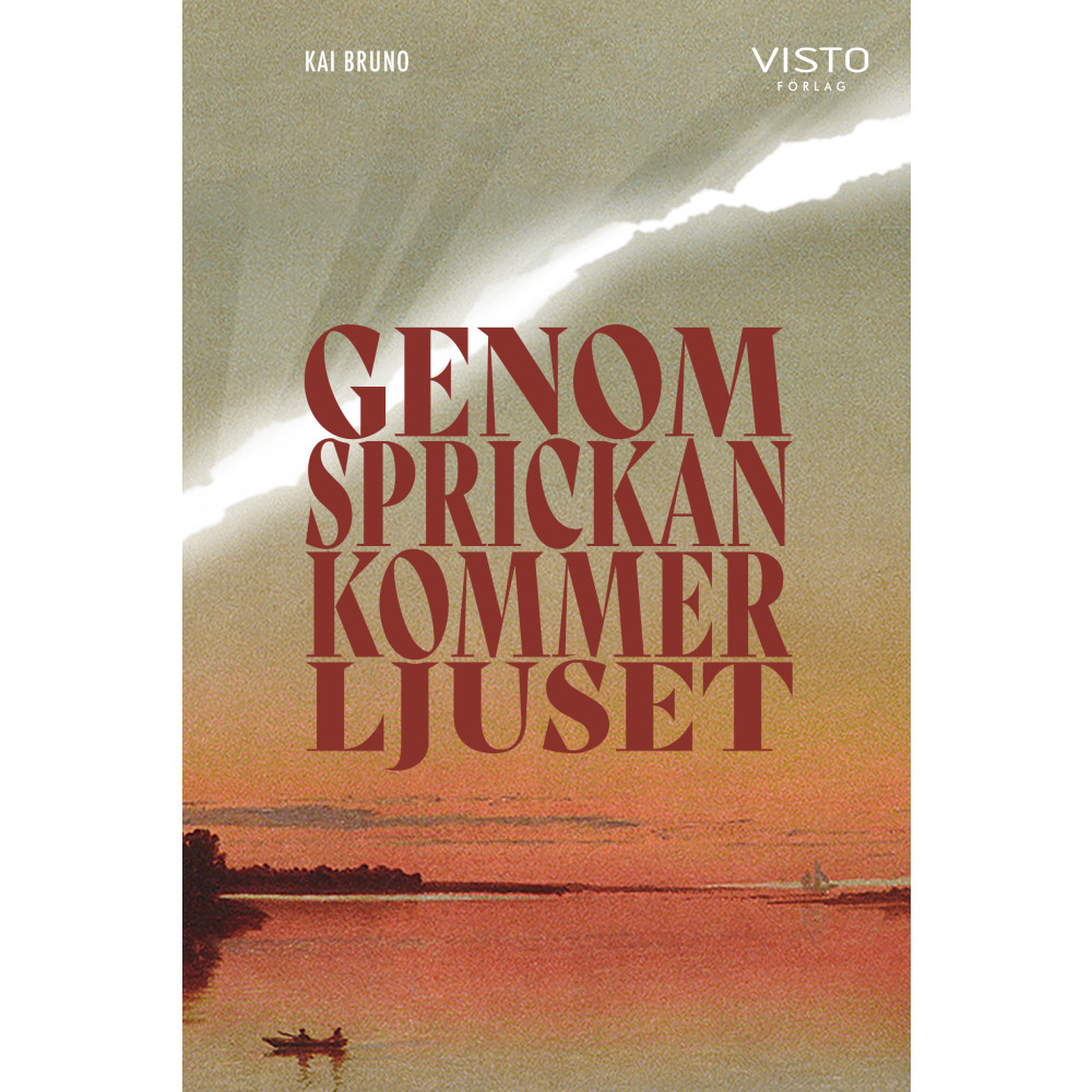 Produktbild för Genom sprickan kommer ljuset (inbunden)