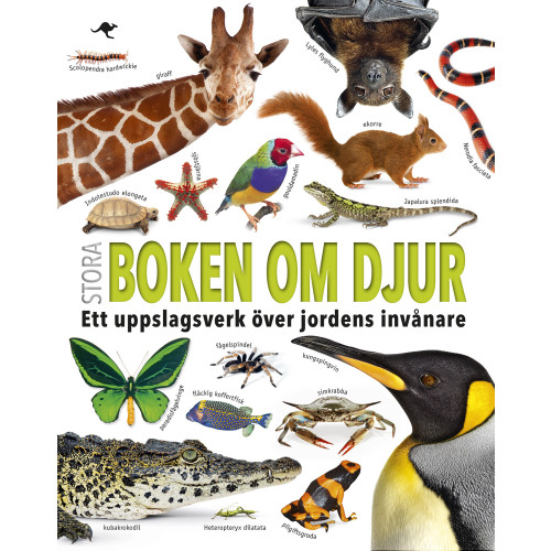 Lind & Co Stora boken om djur : ett uppslagsverk över jordens invånare (inbunden)