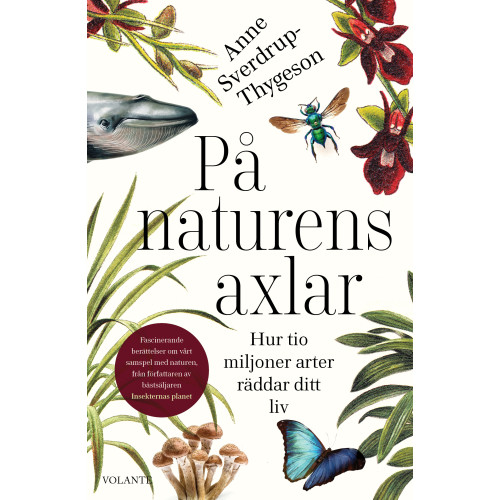 Anne Sverdrup-Thygeson På naturens axlar : hur tio miljoner arter räddar ditt liv (inbunden)