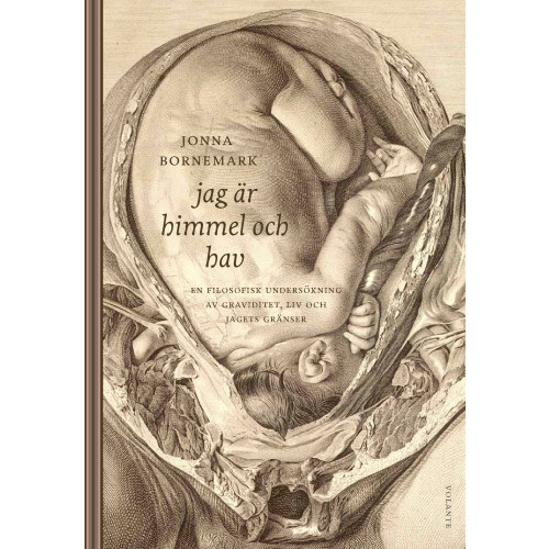 Jonna Bornemark Jag är himmel och hav : en filosofisk undersökning av graviditet, liv och jagets gränser (inbunden)