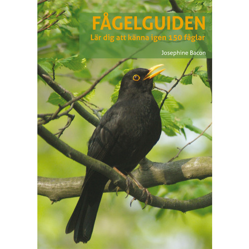 Peter Goodfellow Fågelguiden: lär dig känna igen 150 fåglar (bok, flexband)