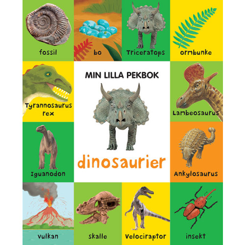Tukan Förlag Min lilla pekbok : dinosaurier (inbunden)