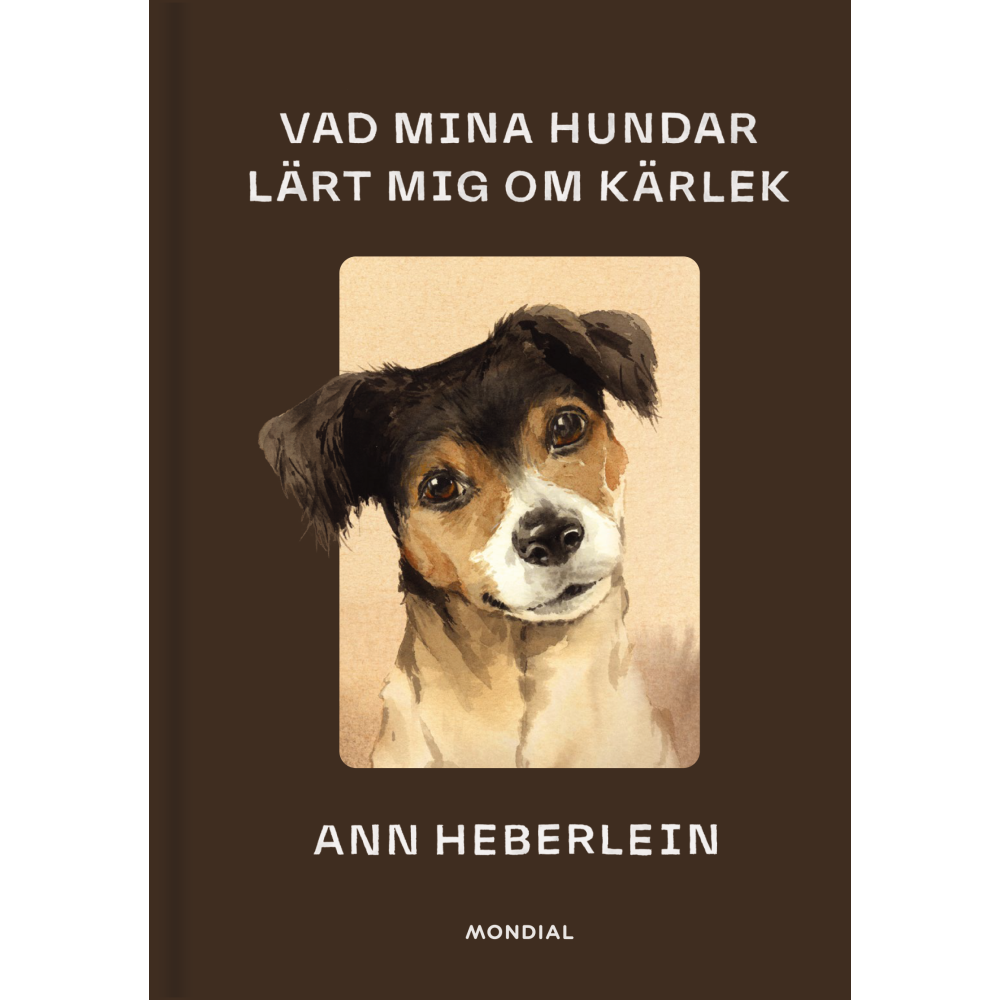 Produktbild för Vad mina hundar lärt mig om kärlek (bok, kartonnage)