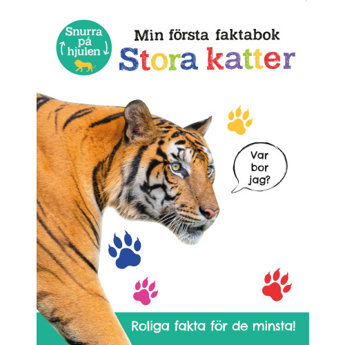 Lind & Co Min första faktabok : stora katter (bok, board book)