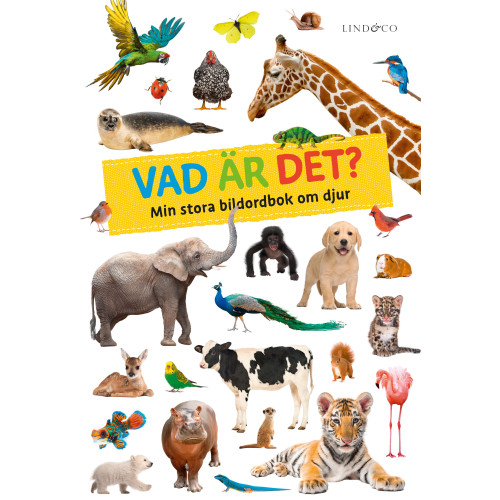 Lind & Co Vad är det? : min stora bildordbok om djur (bok, board book)