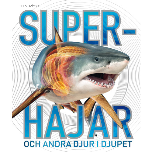 Derek Harvey Superhajar : och andra djur i djupet (inbunden)