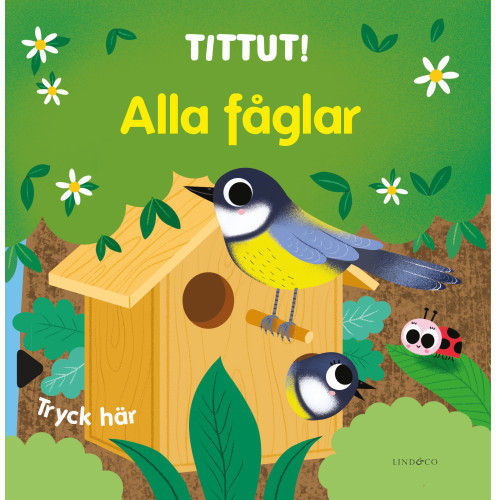 Lind & Co Tittut! Alla fåglar (bok, board book)