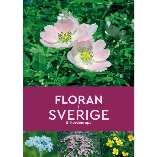 Andrew Cleave Floran i Sverige & Nordeuropa (häftad)
