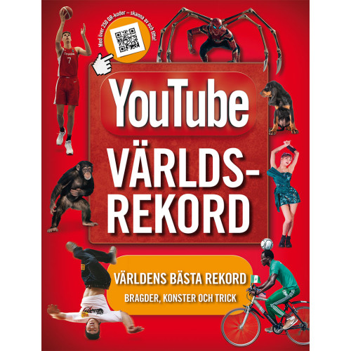 Adrian Besley Youtube världsrekord (inbunden)