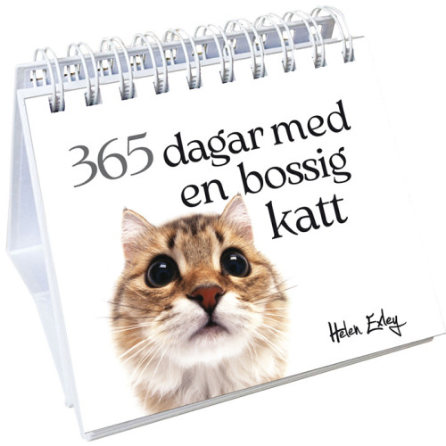 Pam Brown 365 dagar med en bossig katt (bok, spiral)