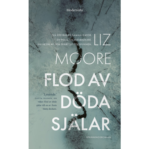 Liz Moore Flod av döda själar (pocket)