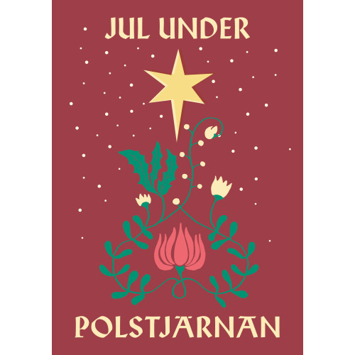 Bokförlaget Polaris Jul under polstjärnan (inbunden)