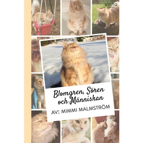 Mimmi Malmström Blomgren, Sören och Människan (inbunden)