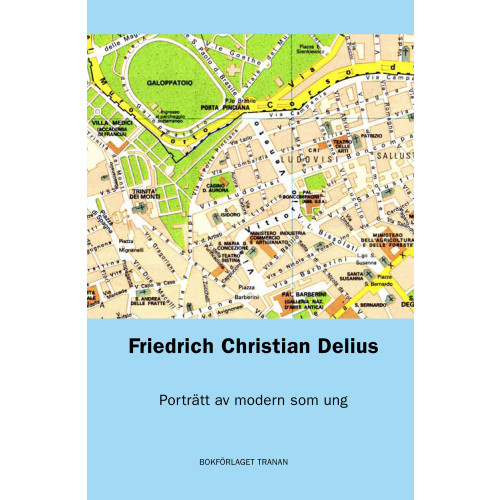 Friedrich Christian Delius Porträtt av modern som ung (bok, danskt band)