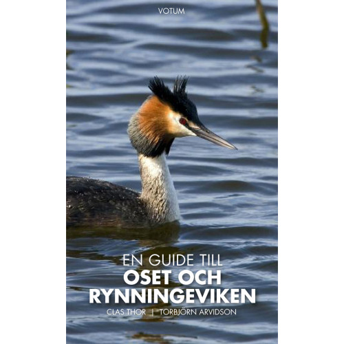 Votum & Gullers Förlag En guide till Oset och Rynningeviken (bok, flexband)