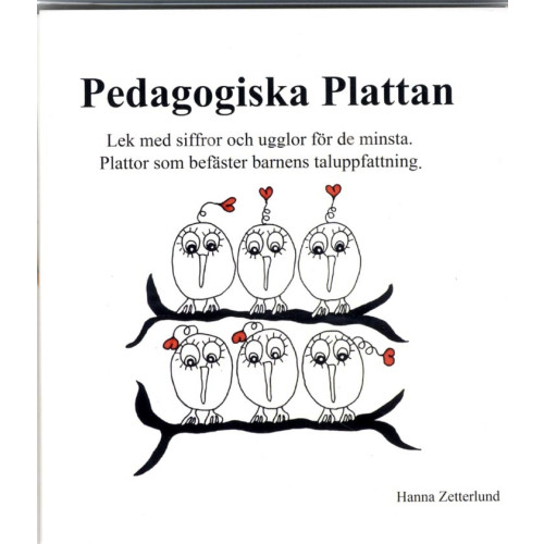 Hanna Zetterlund Pedagogiska plattan (bok)
