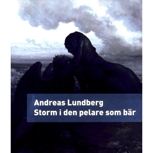 Andreas Lundberg Storm i den pelare som bär : en berättelse (bok, danskt band)