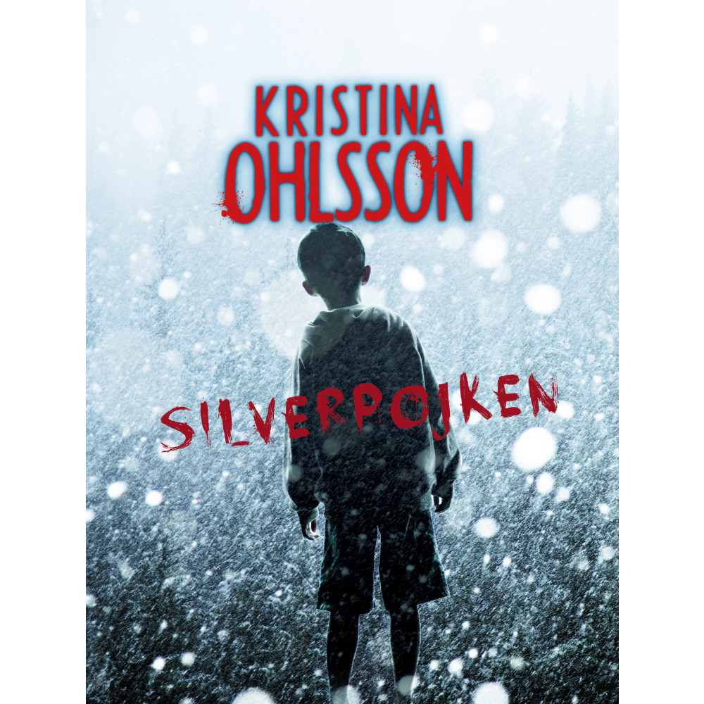 Produktbild för Silverpojken (inbunden)