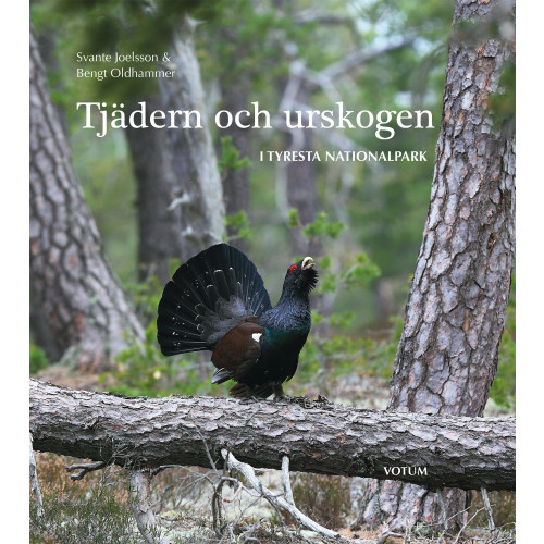 Svante Joelsson Tjädern och urskogen : i Tyresta nationalpark (inbunden)