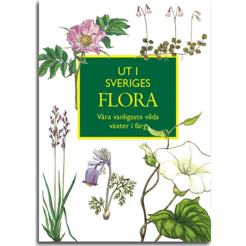 Ingvar Nordin Ut i Sveriges Flora: våra vanligaste vilda växter i färg (bok, flexband)