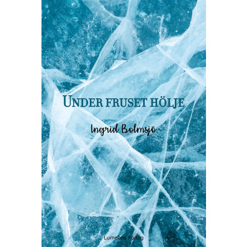 Ingrid Bolmsjö Under fruset hölje (bok, danskt band)