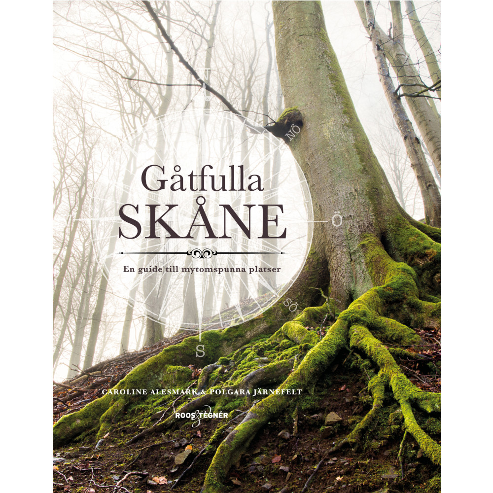 Produktbild för Gåtfulla Skåne : en guide till mytomspunna platser (bok, flexband)