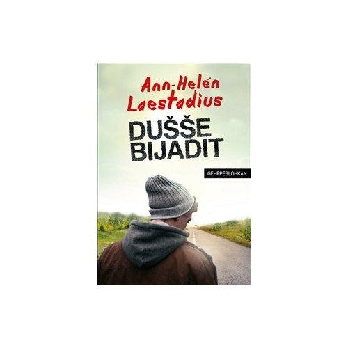 Ann-Helen Laestadius Dusse bijadit / Lättläst (bok, danskt band, sme)
