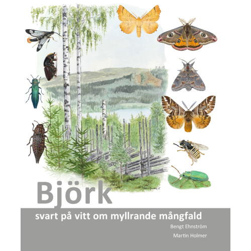 Bengt Ehnström Björk : svart på vitt om myllrande mångfald (bok, danskt band)
