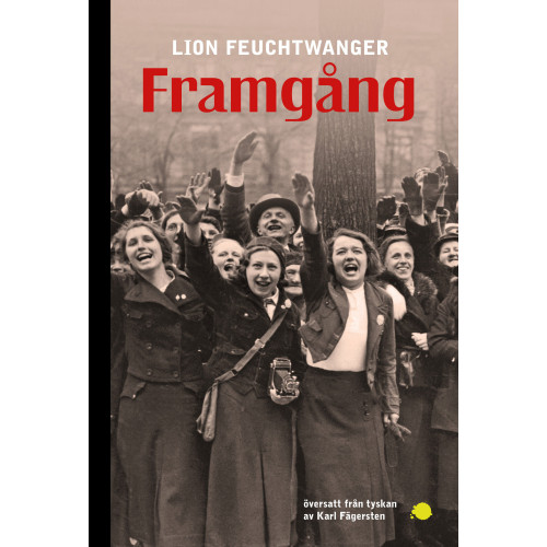 Lion Feuchtwanger Framgång (bok, flexband)