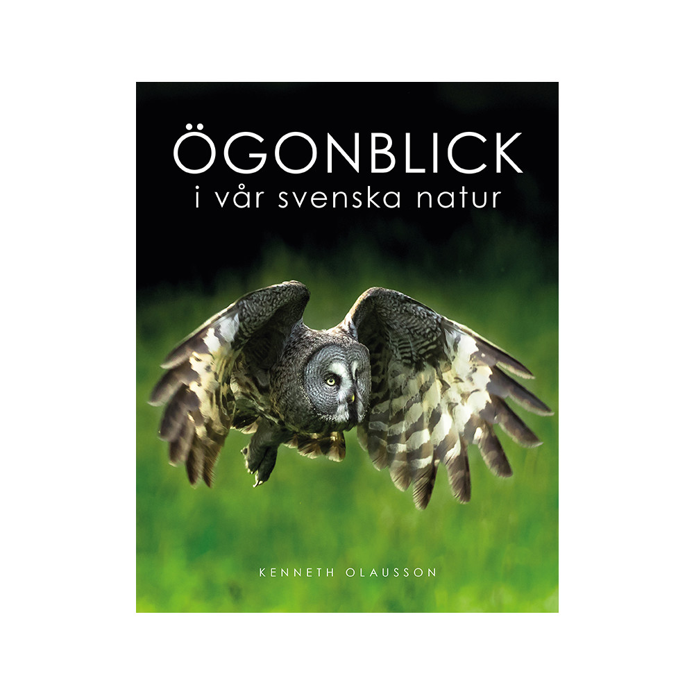 Produktbild för Ögonblick i vår svenska natur (inbunden)