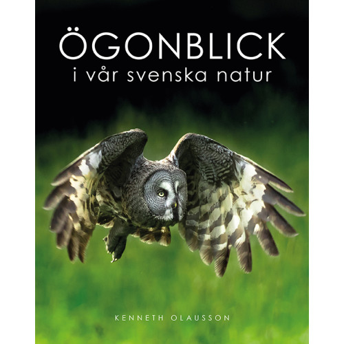 Kenneth Olausson Ögonblick i vår svenska natur (inbunden)