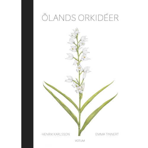 Henrik Karlsson Ölands orkidéer (bok, halvklotband)