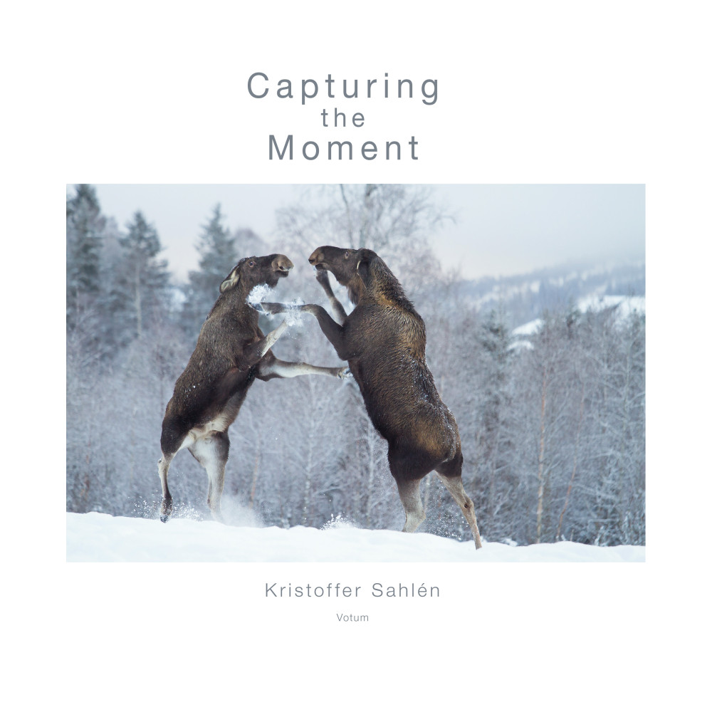 Produktbild för Capturing the Moment (inbunden, eng)