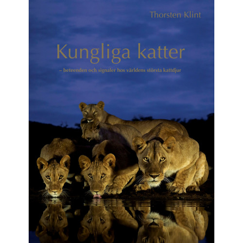 Thorsten Klint Kungliga katter : beteenden och signaler hos världens största kattdjur (inbunden)