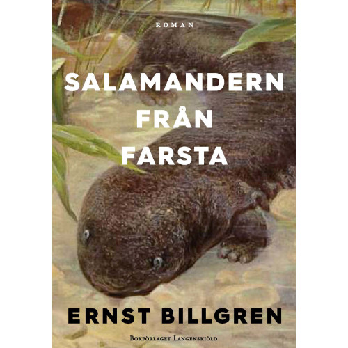 Ernst Billgren Salamandern från Farsta (bok, flexband)