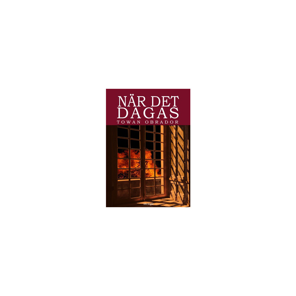 Produktbild för När det dagas : historisk roman från Gotlands 1600-tal ca 1603 - 1610 (inbunden)