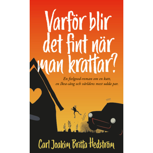 Carl Joakim Britta Hedström Varför blir det fint när man krattar? (pocket)