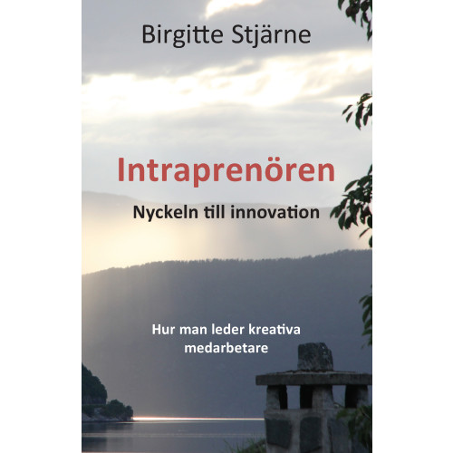 Birgitte Stjärne Intraprenören : nyckeln till innovation - hur man leder kreativa medarbetare (bok, danskt band)