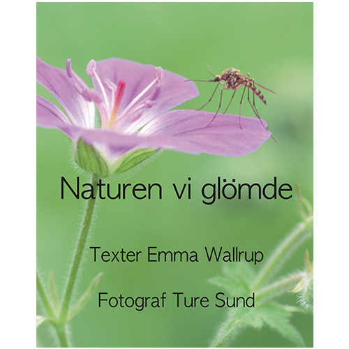 Emma Wallrup Naturen vi glömde (inbunden)