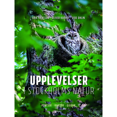 Erik Hansson Upplevelser i Stockholms natur (bok, flexband)