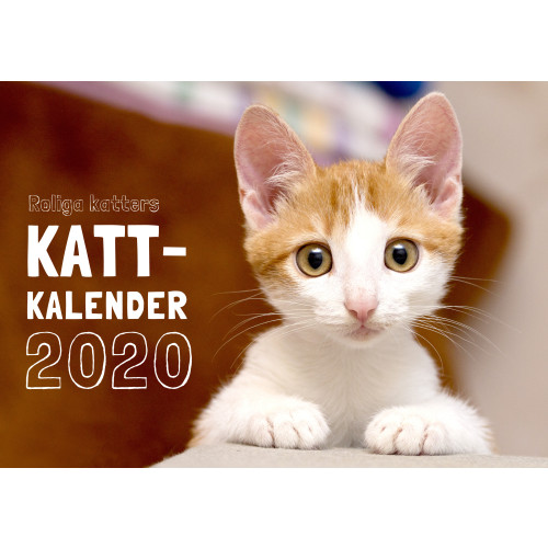 Pug Förlag Roliga katters kattkalender 2020 (häftad)