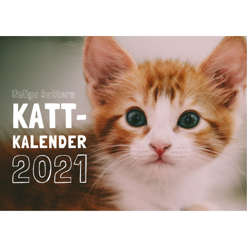 Pug Förlag Roliga katters kattkalender 2021 (bok)