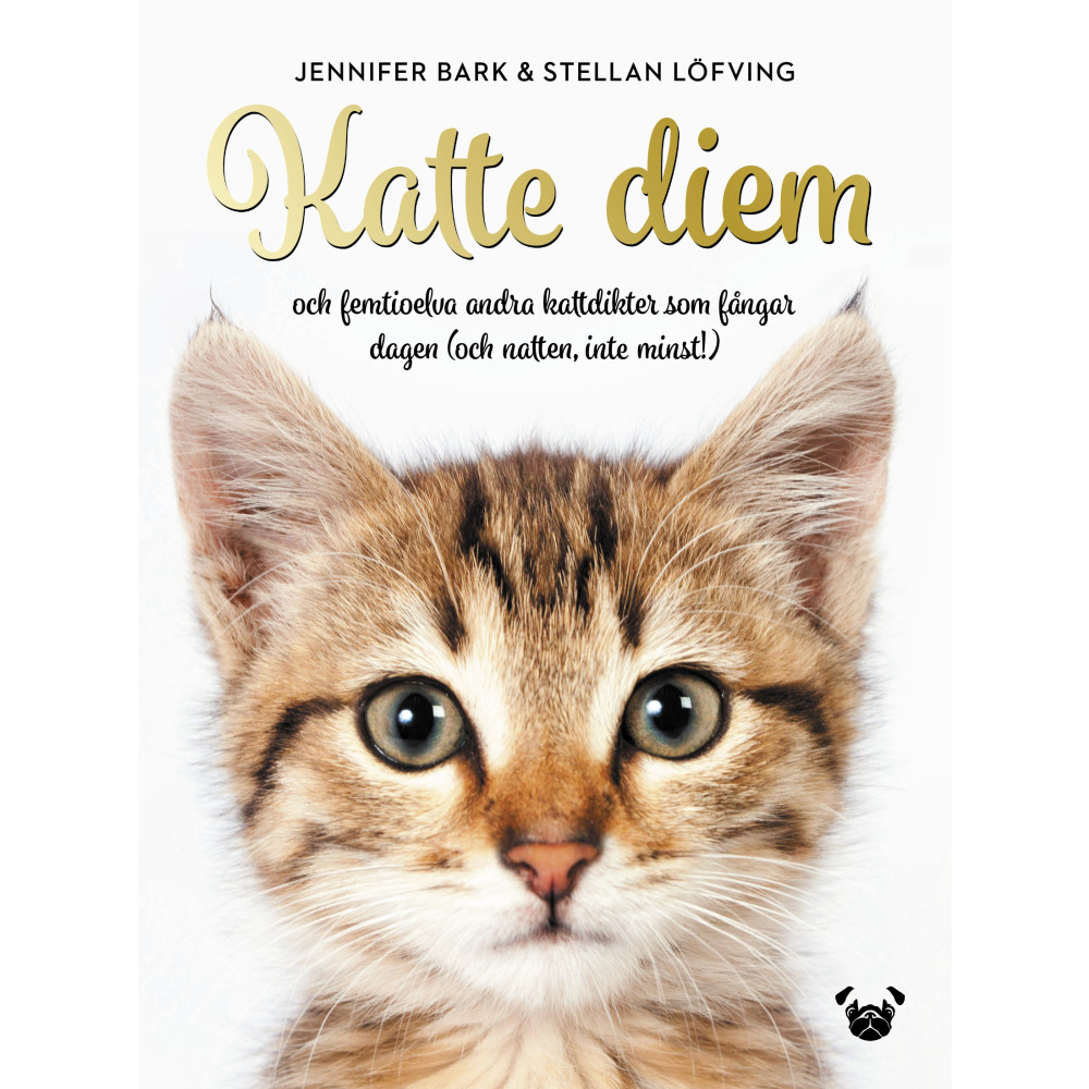 Produktbild för Katte Diem : och femtioelva andra kattdikter som fångar dagen (och natten, inte minst!) (inbunden)