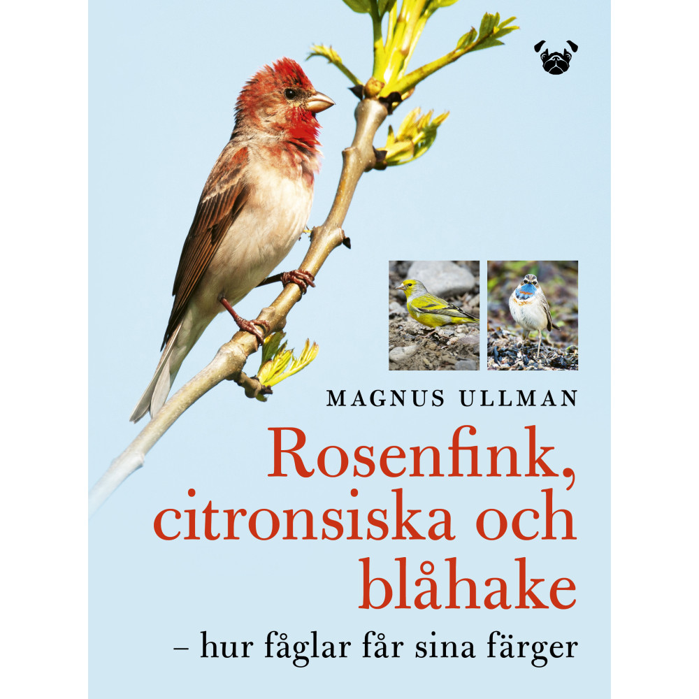 Produktbild för Rosenfink, citronsiska och blåhake : hur fåglar får sina färger (bok, flexband)