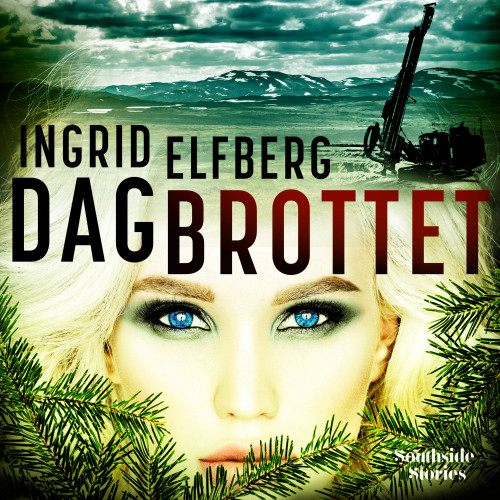 Ingrid Elfberg Dagbrottet (bok, kartonnage)