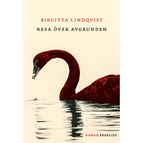Birgitta Lindqvist Resa över avgrunden (inbunden)