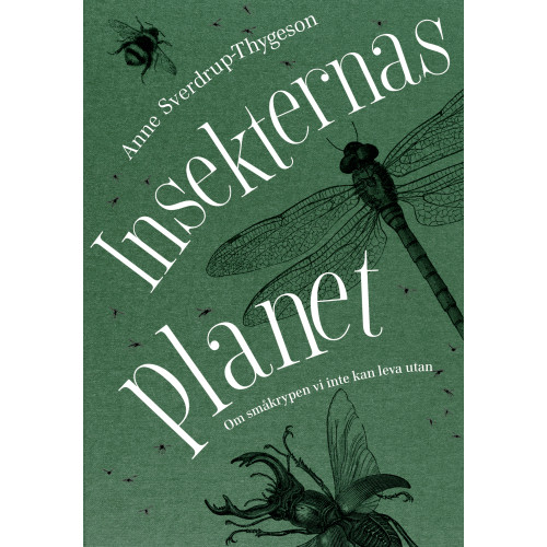Anne Sverdrup-Thygeson Insekternas planet : Om småkrypen vi inte kan leva utan (inbunden)