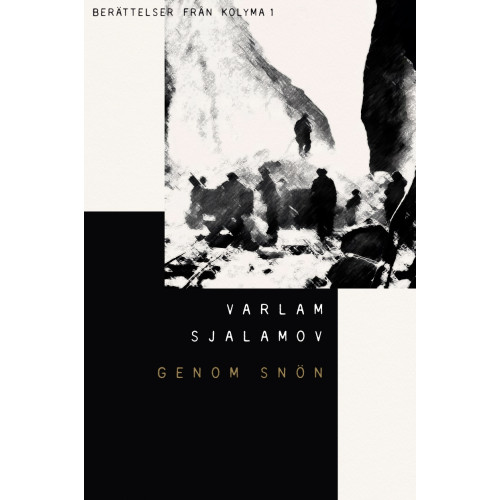 Varlam Sjalamov Genom snön (bok, storpocket)